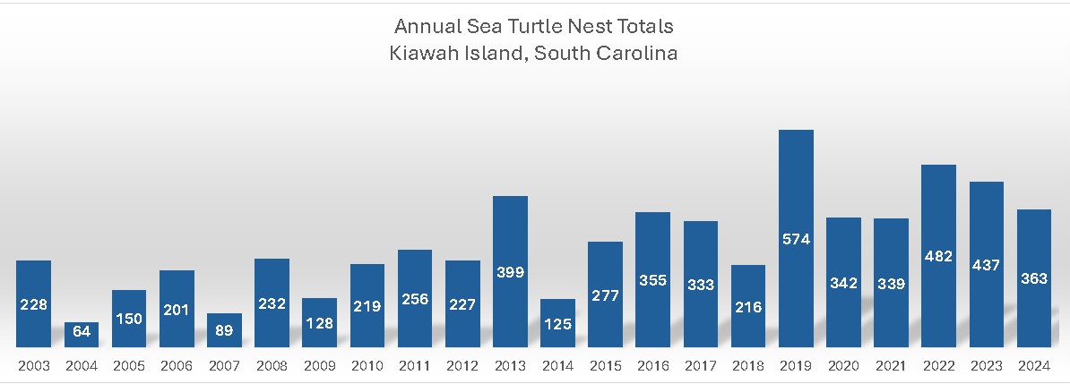 2024Loggerheadnesting
